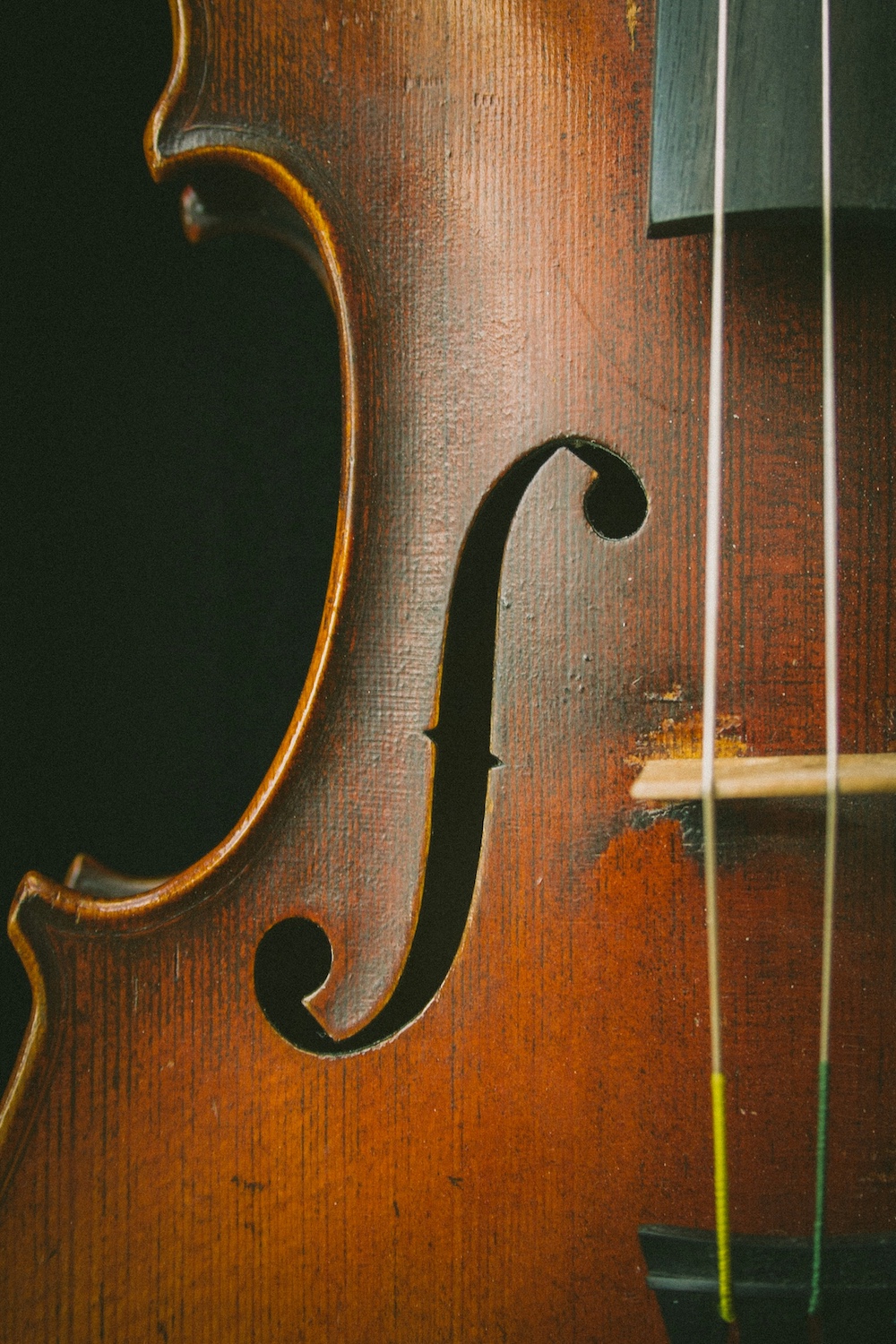 Close-up of a violin f-hole